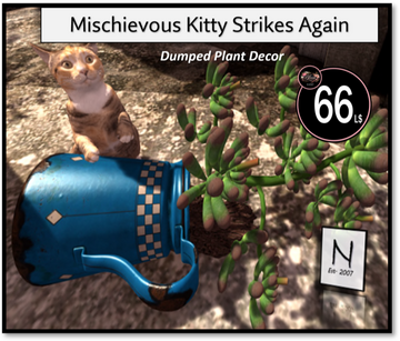 N-Est 2007 - Kitty Stikes